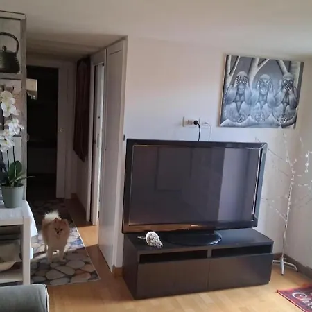 Vatican Apartaments Holiday In Roma 公寓 *